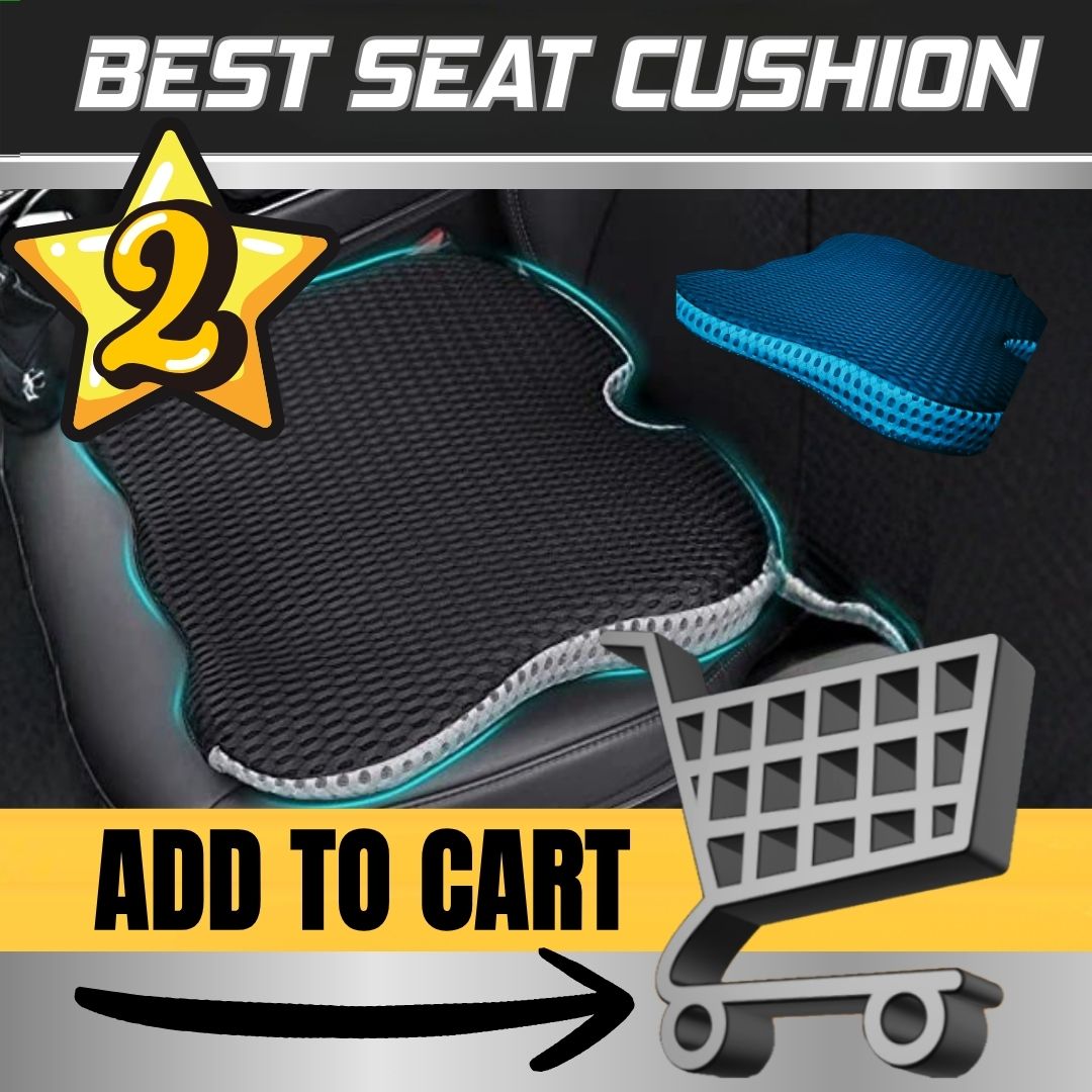Best Seat Cushion