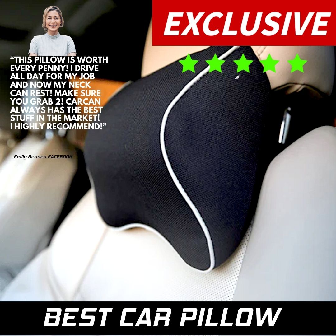 2 CAR PILLOWS