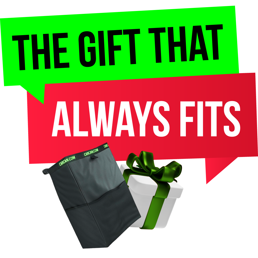 10 Pack CarCan (BEST VALUE)