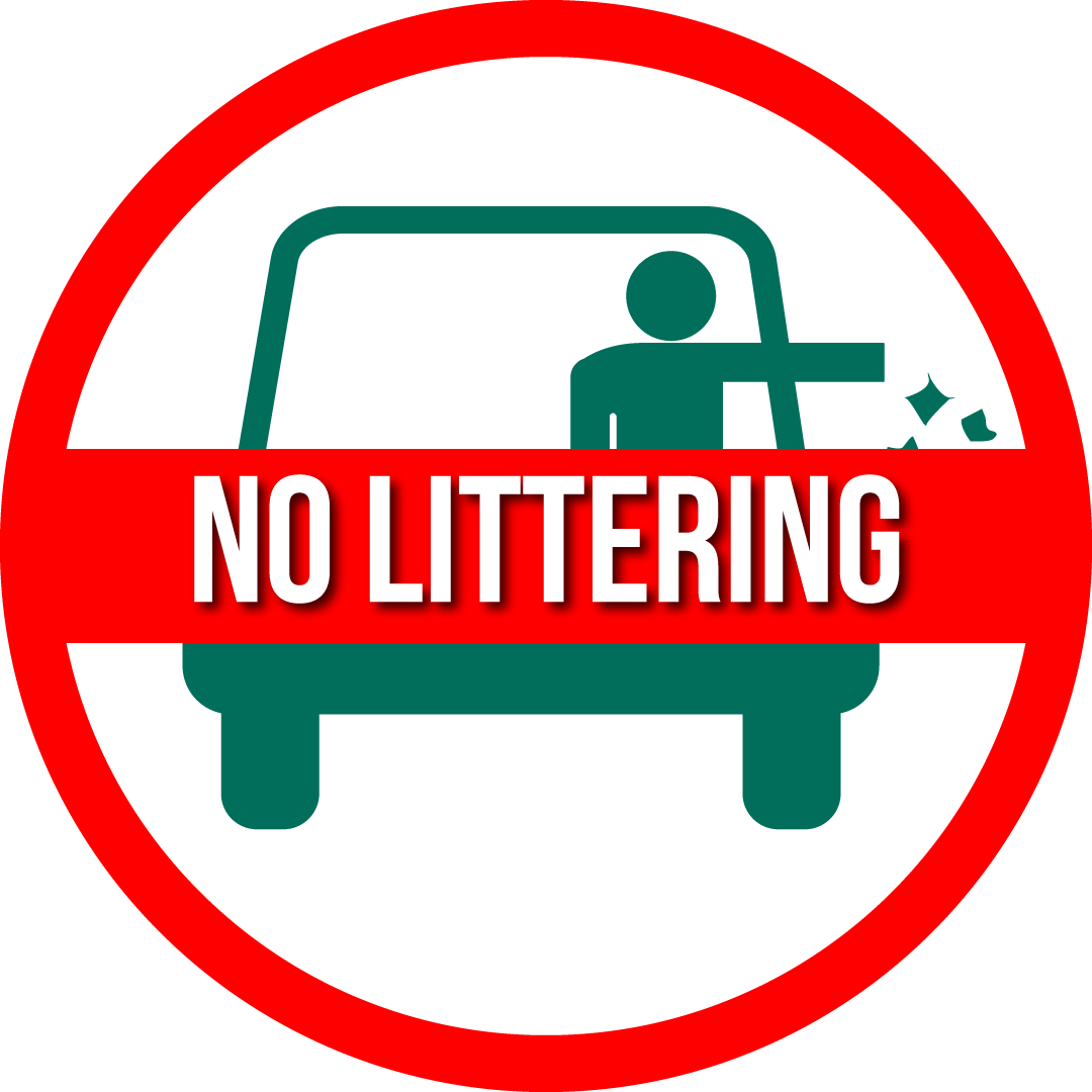 10 Pack CarCan (BEST VALUE)