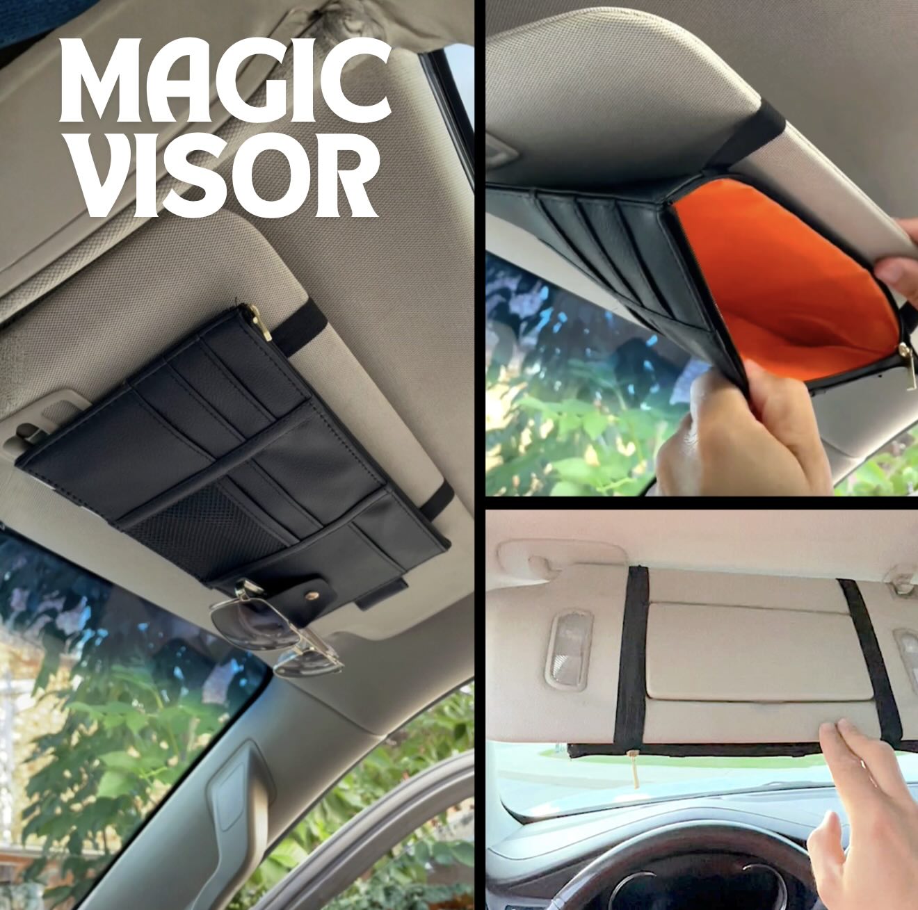 विज़र आयोजक