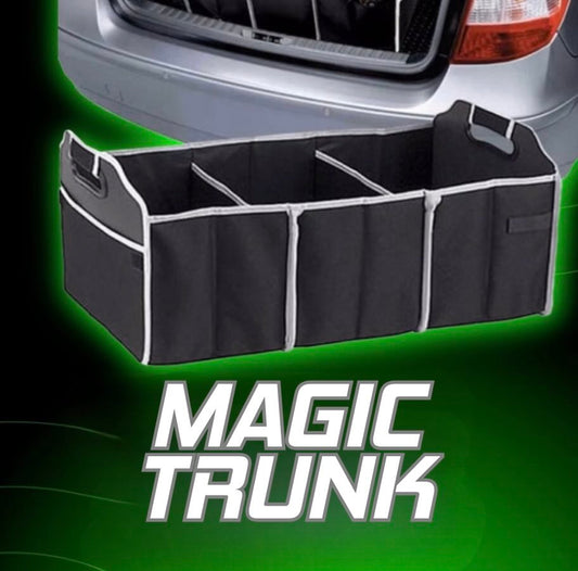 The Trunk Organizer