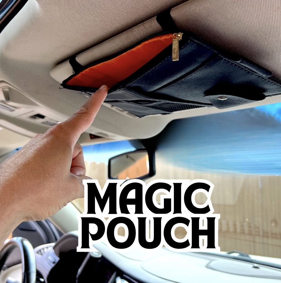 EL ORGANIZADOR DE VISERA DEL COCHE