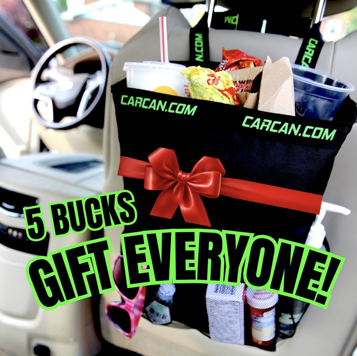 10 Pack CarCan (BEST VALUE)