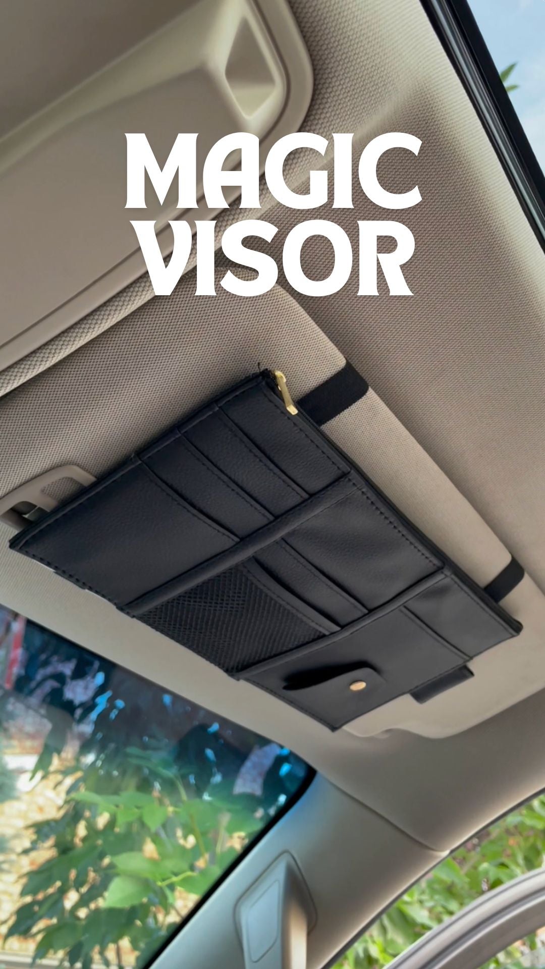 विज़र आयोजक