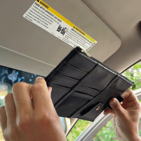 Visor Organizer